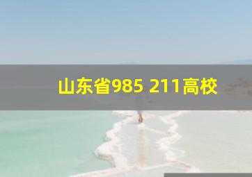 山东省985 211高校